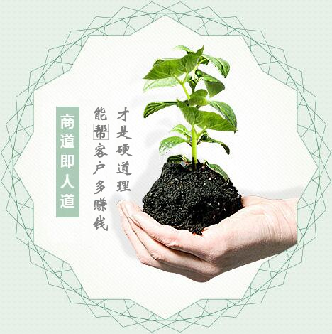 蔬菜種子經(jīng)營，商道即人道