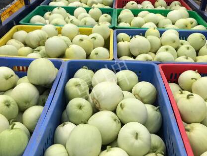 蔬菜種子種植戶客戶點(diǎn)評-5元1斤，這個(gè)新品種真香甜！