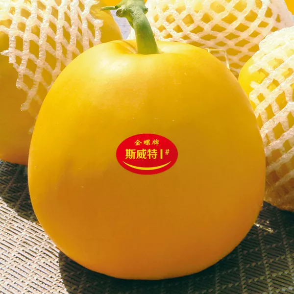 薄皮甜瓜，哪個(gè)品種最好呢？畝產(chǎn)高達(dá)10萬，附4種市場(chǎng)爆款品種