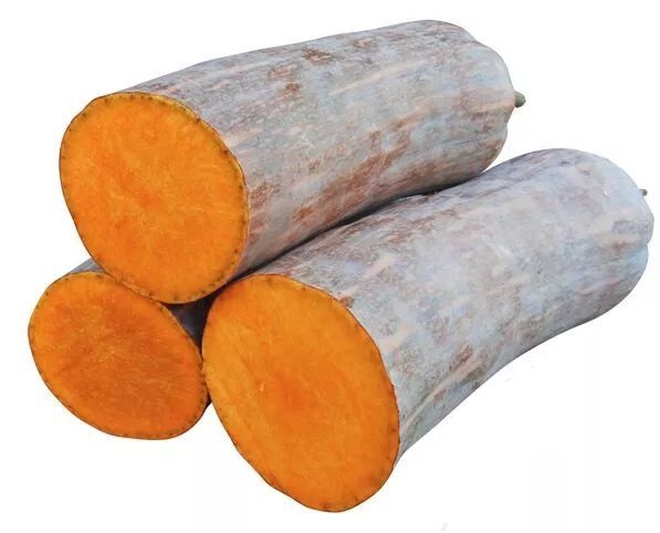 生吃都好吃南瓜新品種，沒有大肚子，肉質(zhì)更密致，農(nóng)戶試種下