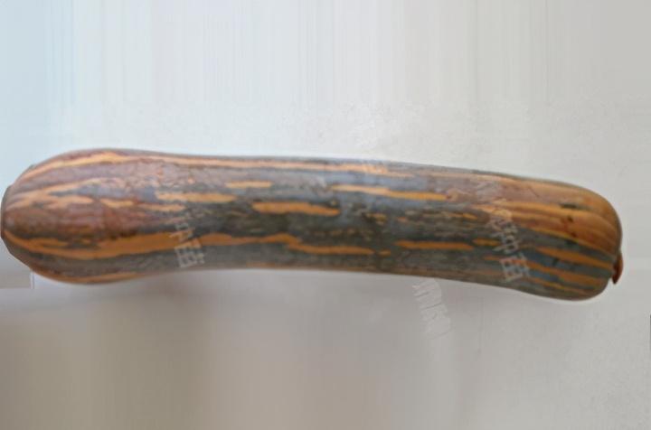 2020年，市面上的南瓜品種哪個口感最好、最甜、最值得種植？