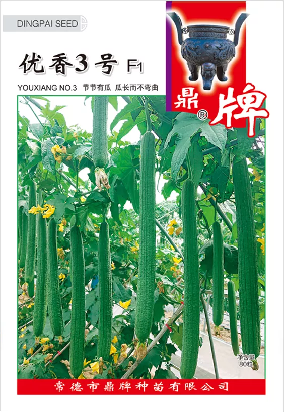 它是絲瓜種植戶的新選擇，節(jié)節(jié)有瓜，瓜長而不彎曲