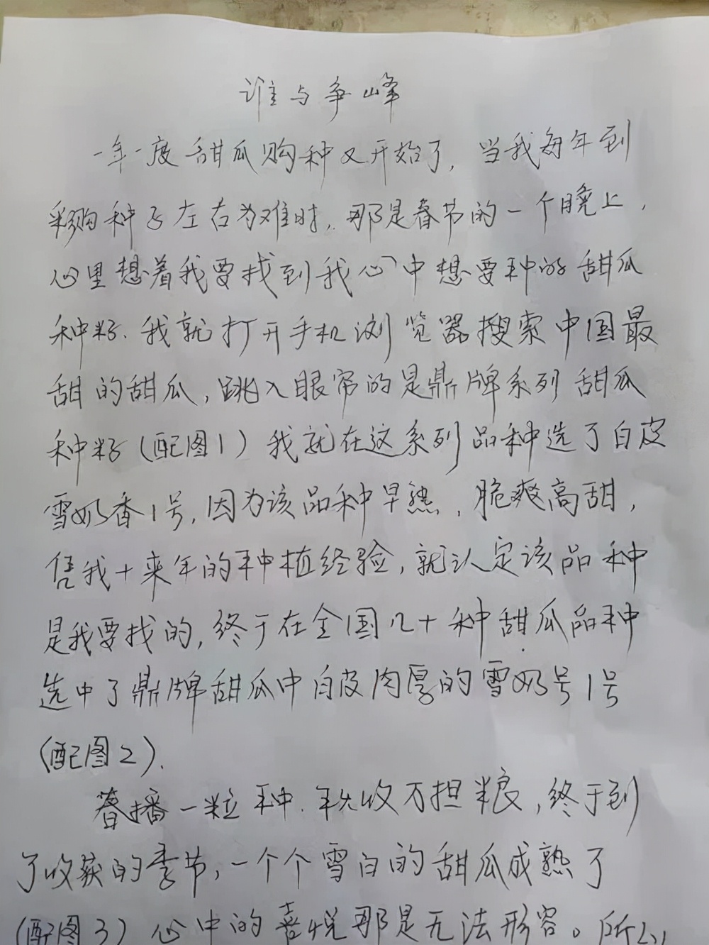 河南焦作的李向林今年種植甜瓜新品種，客戶直接拉貨走人