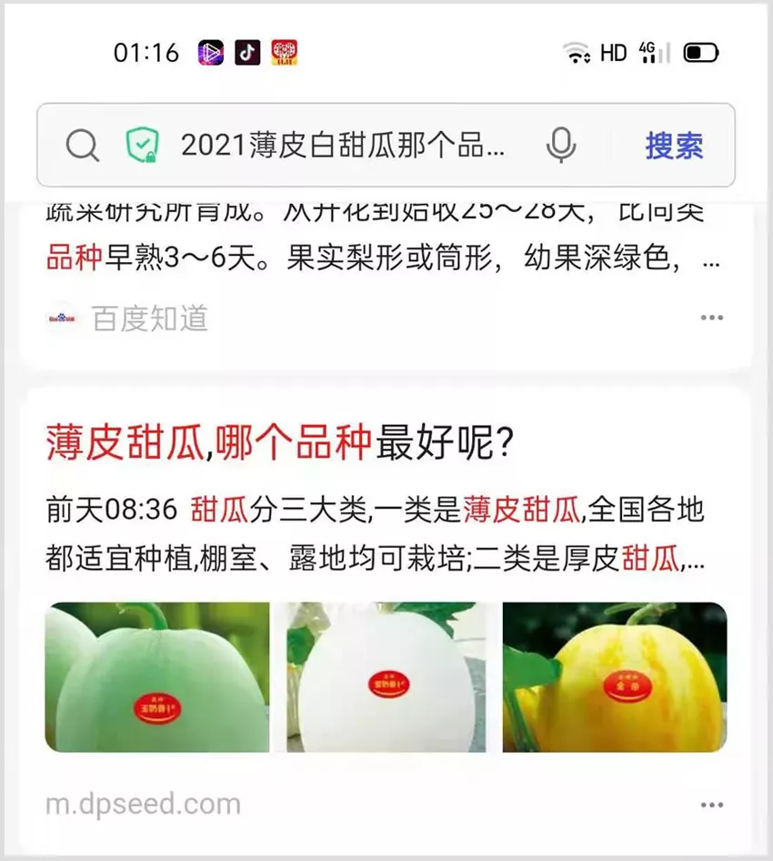 河南焦作的李向林今年種植甜瓜新品種，客戶直接拉貨走人