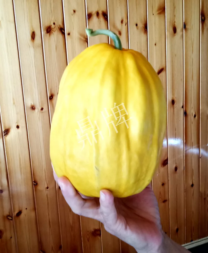 婁底瓜農(nóng)純賺50萬，我這個“張大膽”榮光了一把