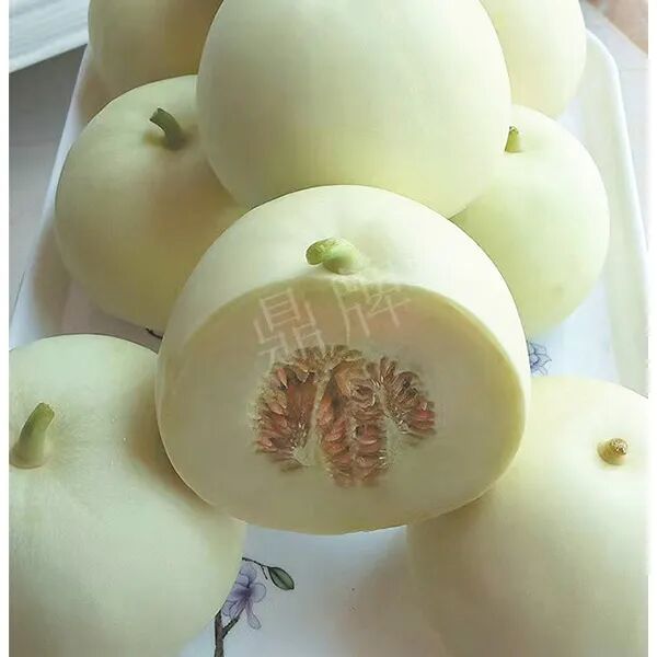 蔬菜種子種植戶客戶點(diǎn)評-這個品種幫我留一些，4月份我們當(dāng)?shù)剡€要種一批呢！