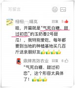 蔬菜種子種植戶客戶點(diǎn)評(píng)-“氣死白糖，甜過(guò)初戀”，您知道或體驗(yàn)過(guò)這句話嗎